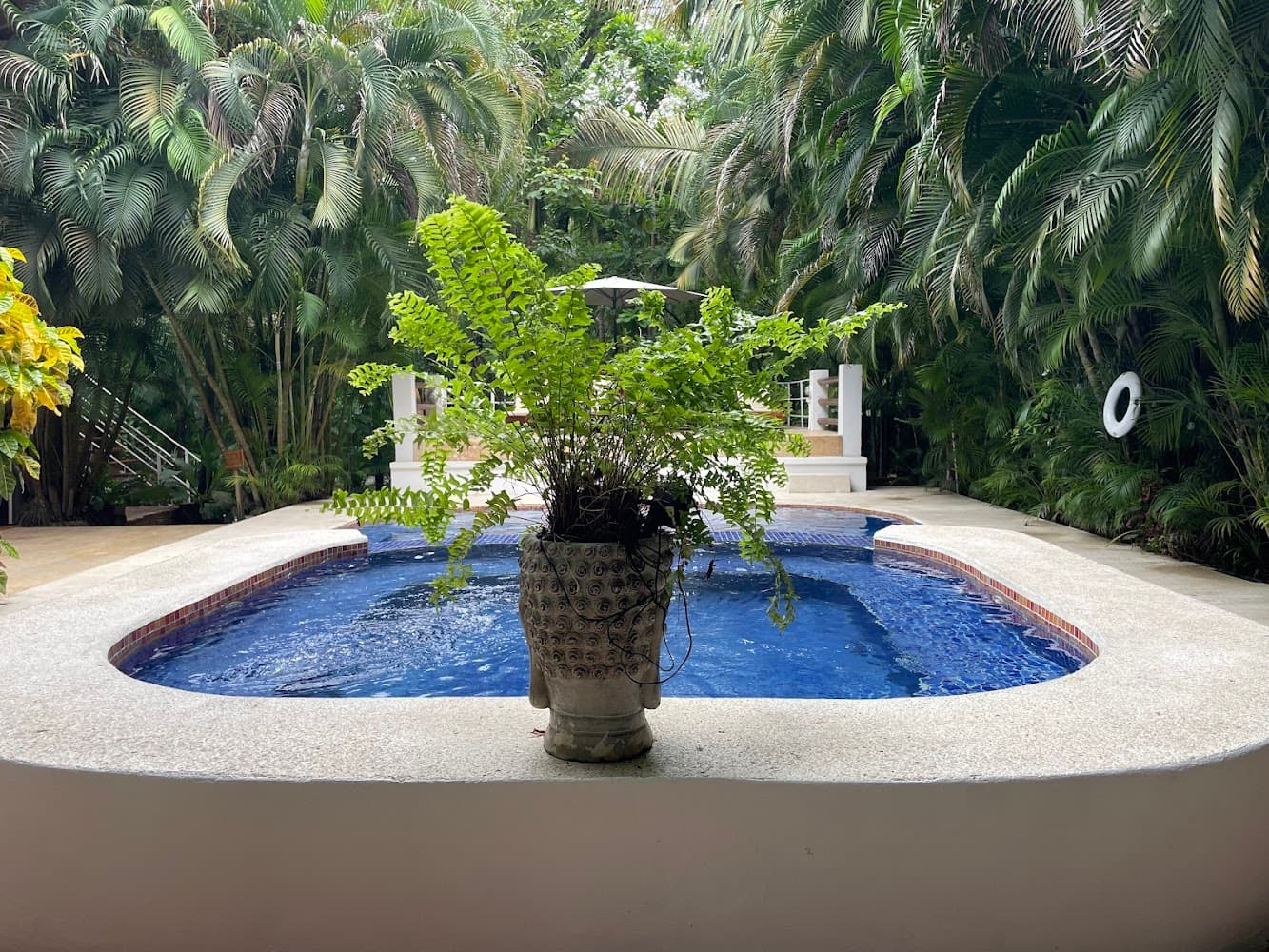 Dreamcatcher Real Estate Santa Teresa photo 2