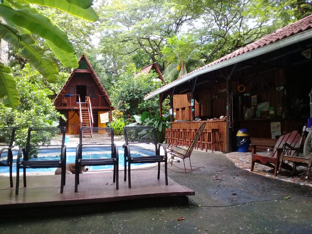 Howler Monkey Hotel