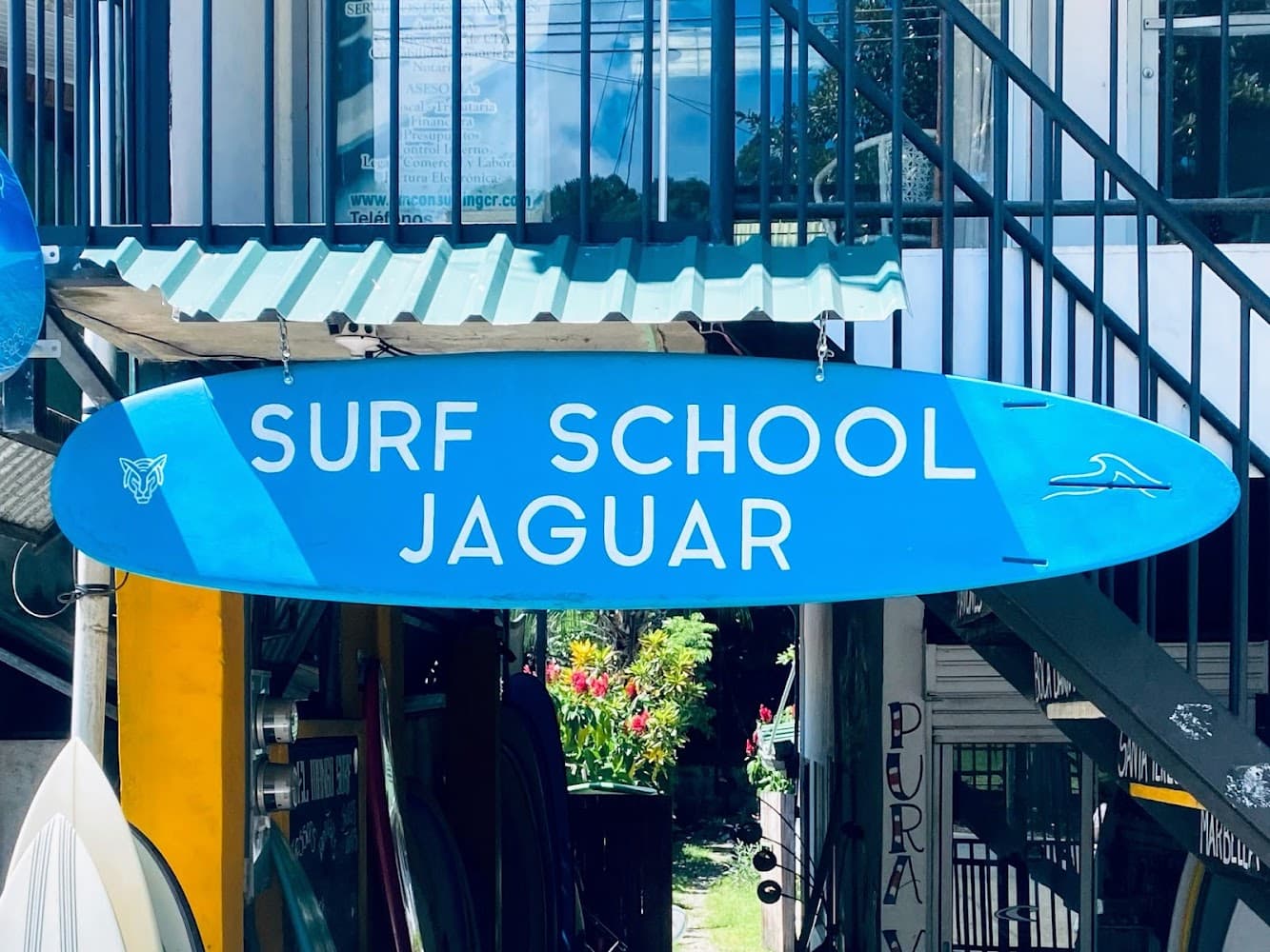 Jaguar Surf & Shop