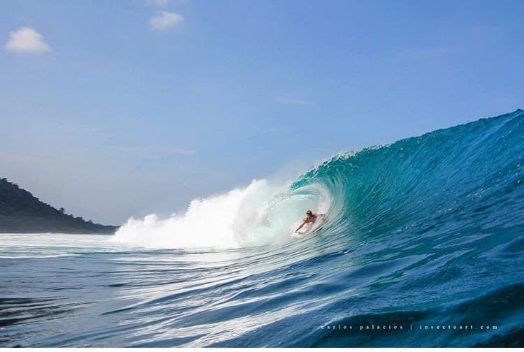 Kina Surf Shop photo 3