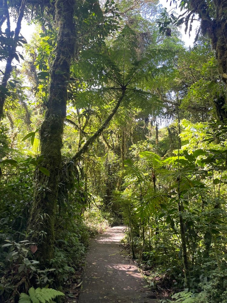 La Reserva Bosque Nuboso Santa Elena photo 2