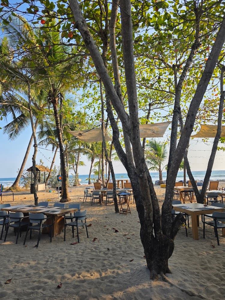 Manzú a Beachfront Restaurant photo 3