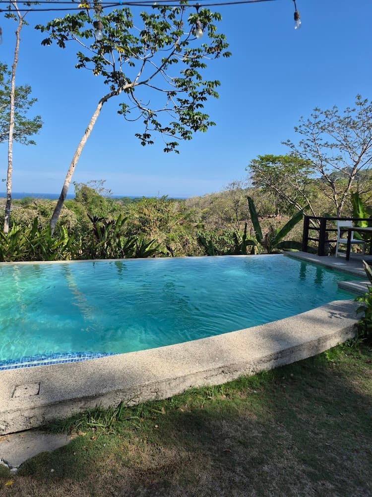 Wild Sun Jungle Resort photo 3