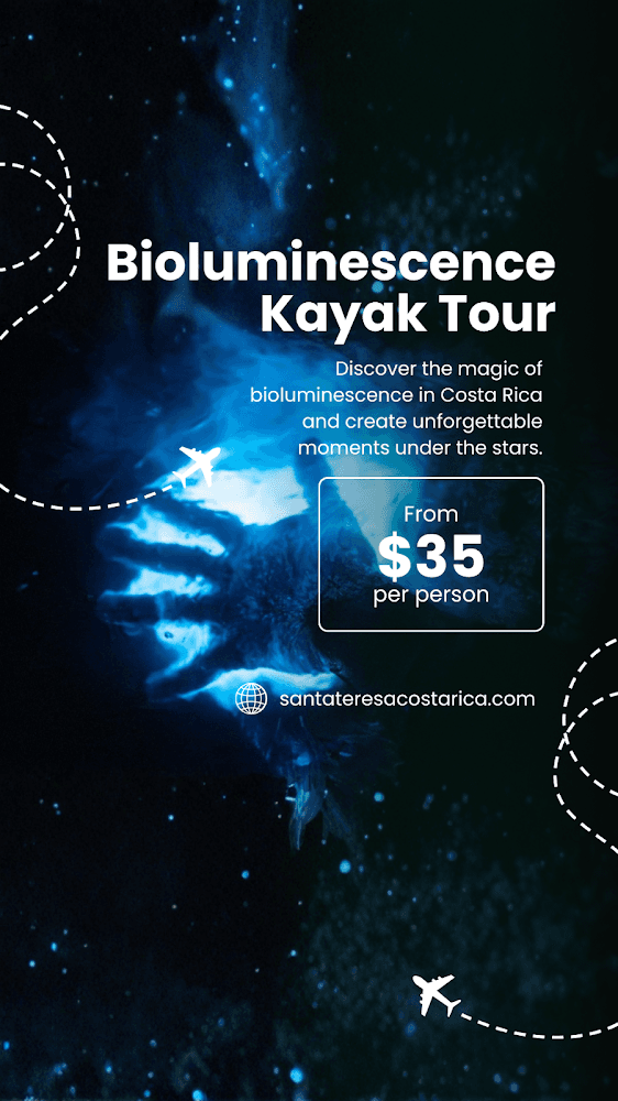 Bioluminescence Tour from Santa Teresa