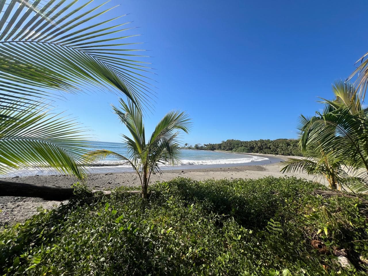 Realty ONE Group Sunset Shores | Santa Teresa photo 3