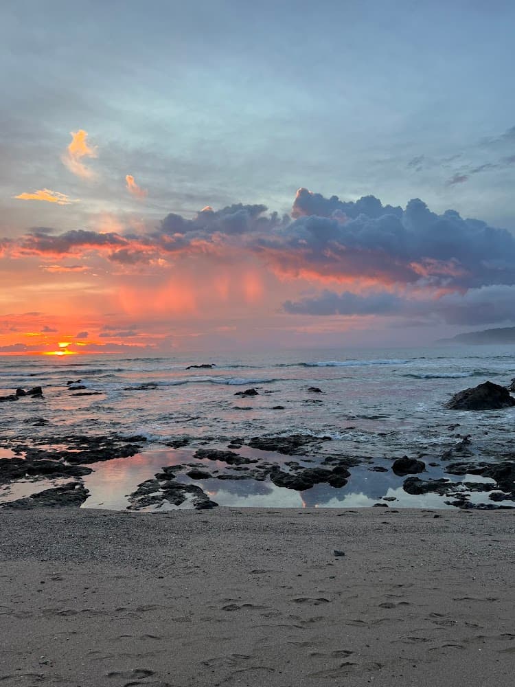 Sacred Paths Yoga Teacher Training (Costa Rica) photo 2