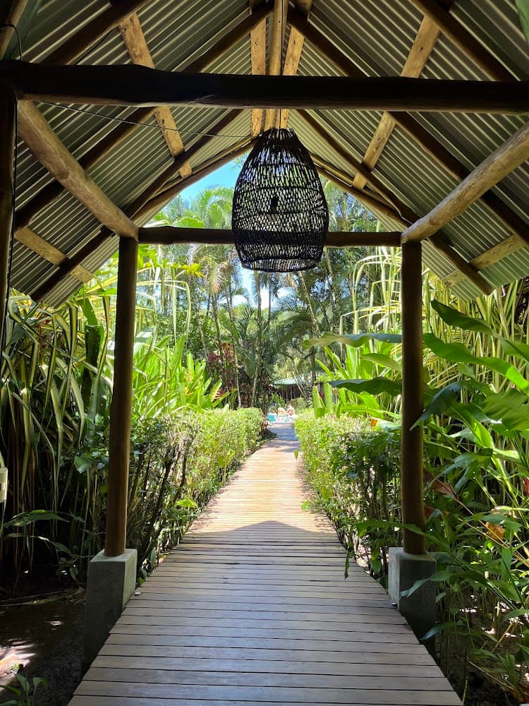 Sacred Paths Yoga Teacher Training (Costa Rica) photo 3
